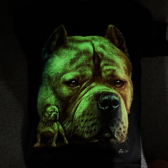 Y2K Caballo Pitbull Dog Graphic T Shirt‎ Men's Small Glow in the Dark Streetwear - Picture 5 of 6